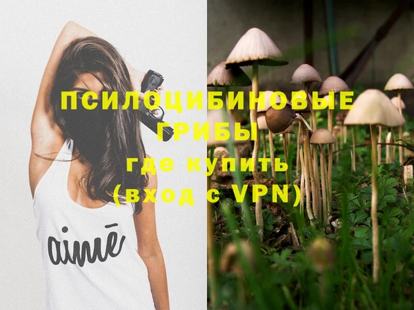 a pvp Ветлуга
