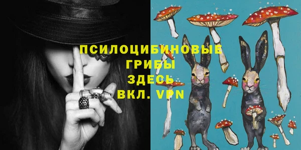 молекула духа Верея