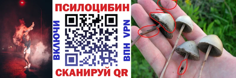 omg как войти  наркота  Гаврилов Посад  Галлюциногенные грибы GOLDEN TEACHER 