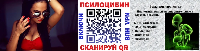 Псилоцибиновые грибы прущие грибы Гаврилов Посад