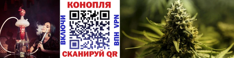 Бошки марихуана SATIVA & INDICA Гаврилов Посад