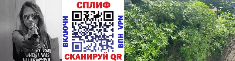 Марихуана LSD WEED мега как войти Гаврилов Посад